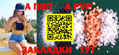 крисы Можга