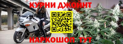 крисы Можга