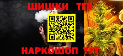 крисы Можга