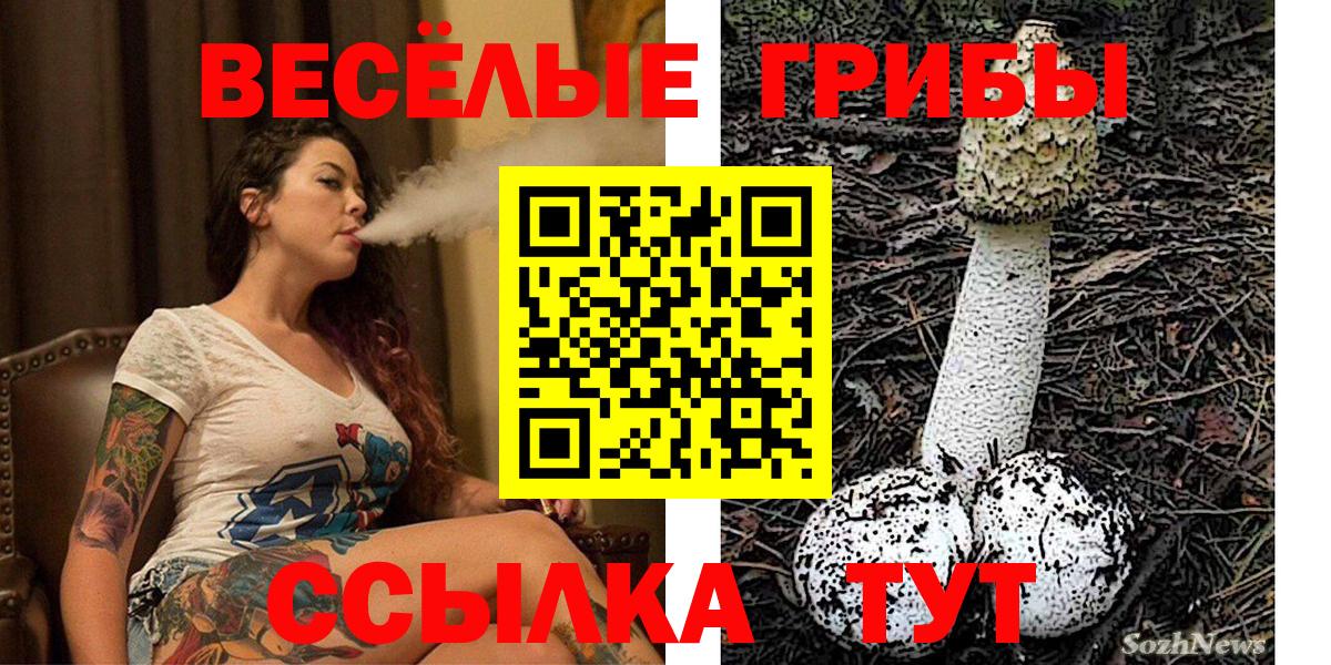 Шелехов  продажа наркотиков  Вход с VPN  Галлюциногенные грибы Psilocybe 