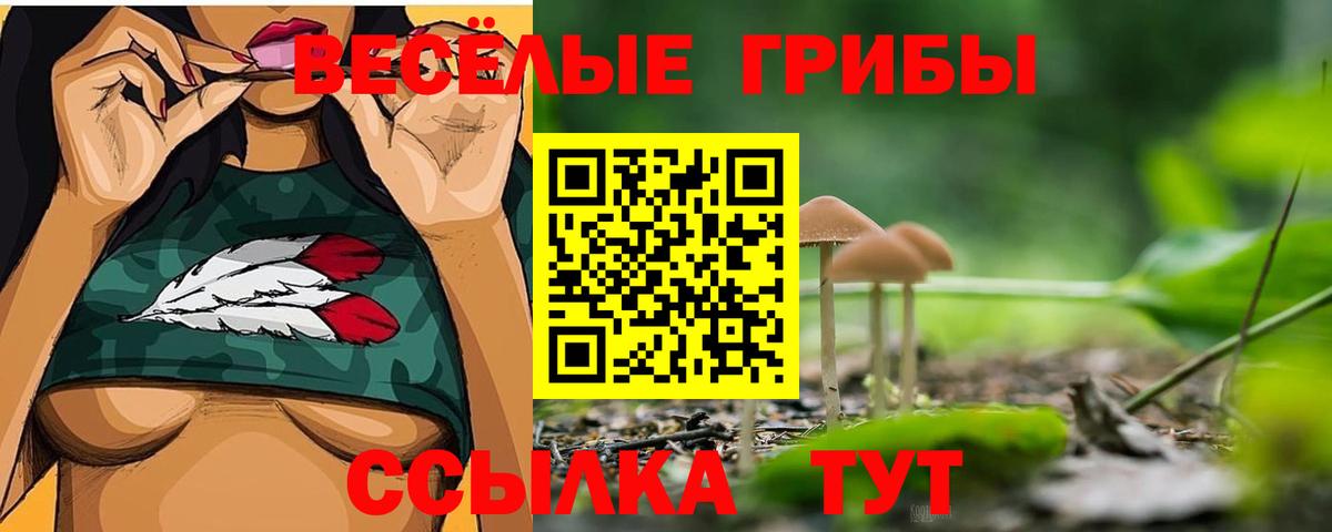 Галлюциногенные грибы GOLDEN TEACHER Шелехов